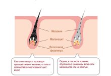 Photo of Ранние корни и зарождение жанра