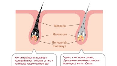 Photo of Ранние корни и зарождение жанра